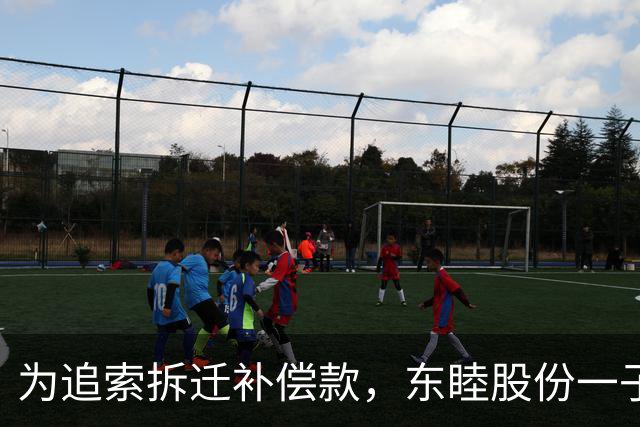 为追索拆迁补偿款，东睦股份一子公司起诉地方政府，自述被拖欠3120万元